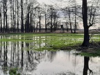 2021-01-24 getrennte Corona Grünkohlwanderung Familien Demuth, Glagau, Hägerling, Heuer, Lüssmann, Piening und Gabi und Uschi 021